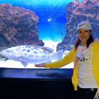 広島　マリホ水族館