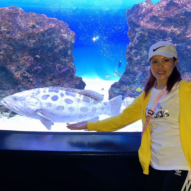 広島　マリホ水族館