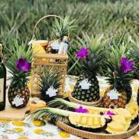 เทศกาลสับปะรดหวานฉ่ำ หนึ่งเดียวในไทยจัดใหญ่ทุกปี
