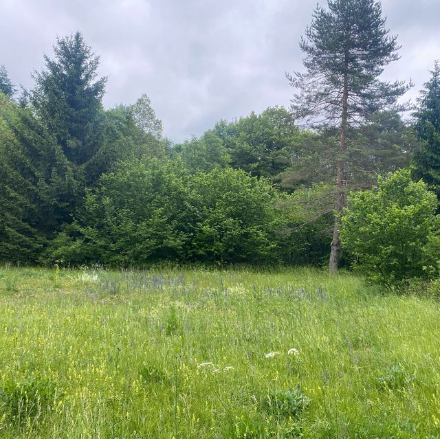 克羅地亞景點✨走進十六湖國家公園