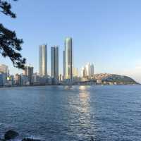해운대 경치를 만끽할 수 있는, 동백공원