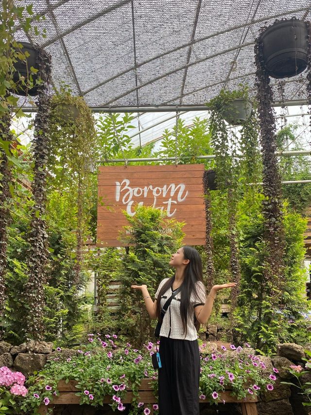 다양한 꽃들의 천국, 서귀포 보롬왓🌸🌼