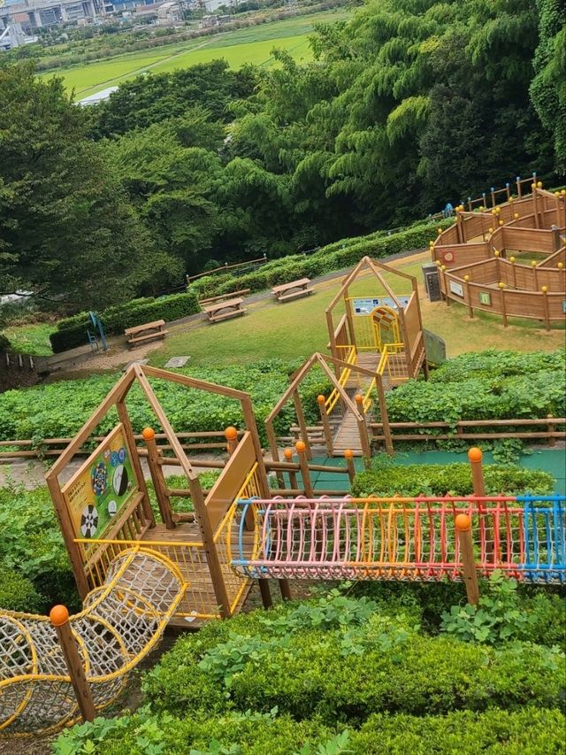 【福井】科学館の公園が広い！