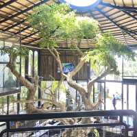 Made In Blue Cafe 