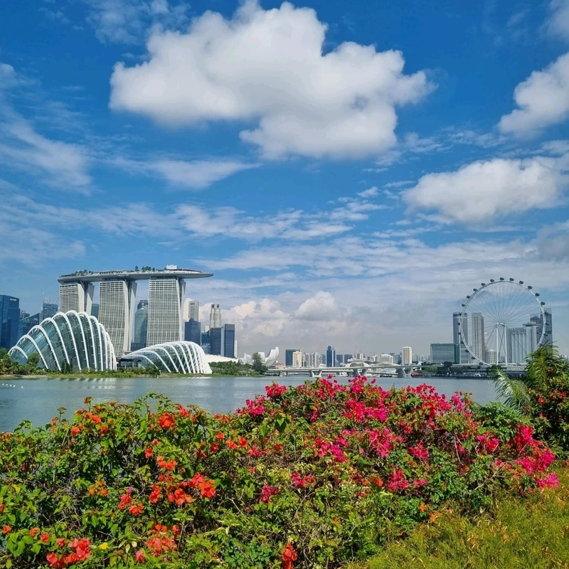 Singapore Tour  Gardens by the Bay, a floating Apple store, Singapore  Flyer, a design museum — beyond Marina Bay Sands hotel in Singapore's  Marina Bay - Telegraph India