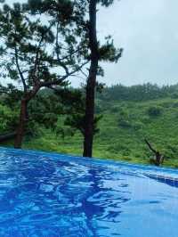 제주 원시림과 가장 가까이 있는 수영장 숙소🌴