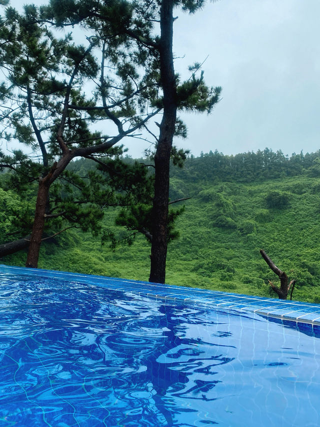 제주 원시림과 가장 가까이 있는 수영장 숙소🌴