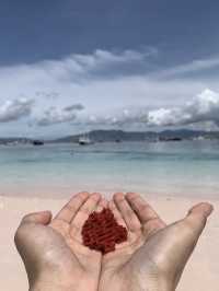 ย้อนเวลาไปอินโดเดือนธันวา : Pink Beach