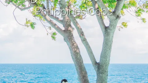 🏝️遍布菲律賓的充滿清涼氣息的美麗度假勝地【菲律賓蘇米龍島】🌴 — traveler post in 宿霧