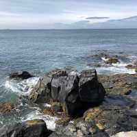 Bluff Bliss: Southern Tranquility Revived