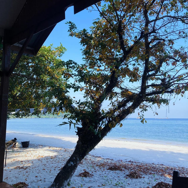 Phayam Island เกาะพยาม ระนอง 