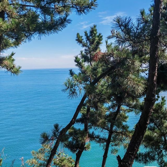東海岸🌊～美麗海景