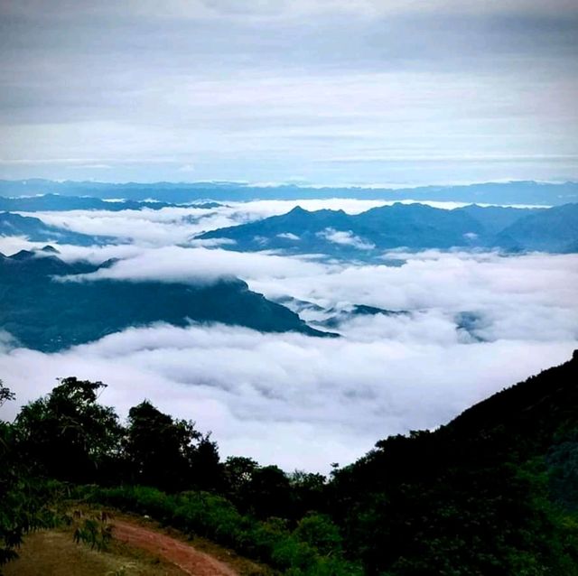 Ta Xua, cloud hunting, Northern Vietnam