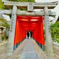 Hakata's Sacred Tapestry Unveiled: Journey
