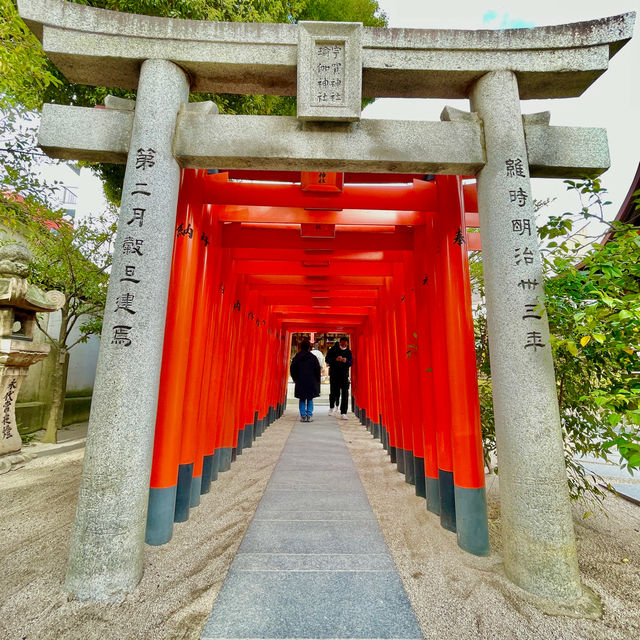 Hakata's Sacred Tapestry Unveiled: Journey