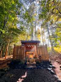 【パワースポット】最強の武神を祀る香取神宮で開運祈願⛩