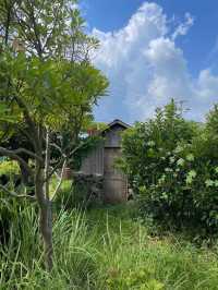 제주 동쪽 10만원대 숙소 셀러리 제주🌱