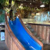 【 集玩樂動物園卡丁車的室內綜合樂園 】
