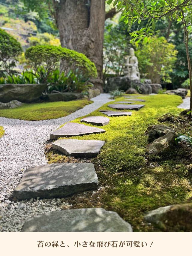 【神奈川】京都じゃないよ！心安らぐ竹の庭🎋
