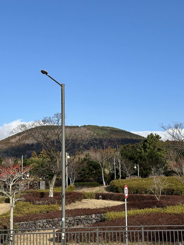 제주도 한라산이 한눈에 보이는 풍경