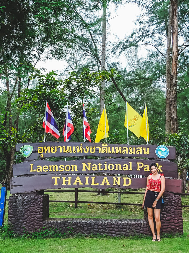 เดินเล่นริมหาด ชมทิวสน ที่หาดบางเบน