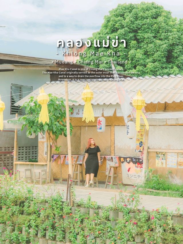 🏡 เชียงใหม่ . . . ไปกี่ครั้งก็ไม่เคยเบื่อ