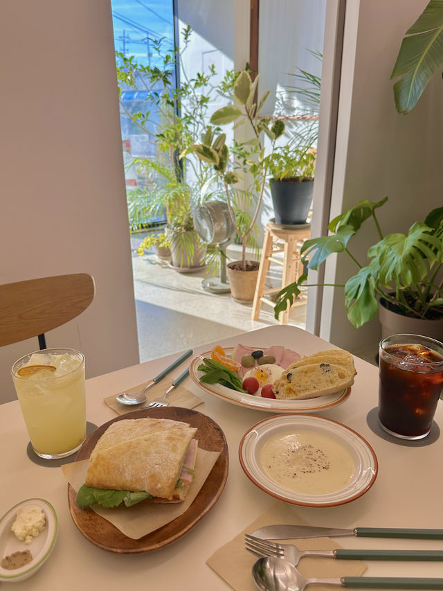아야진해변 근처 그리너리한 브런치카페 🍳🥯🌿