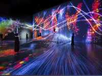 Amazing Lights