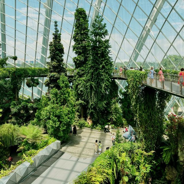 싱가포르의 아름다운 실내 정원, 플라워돔과 클라우드포레스트!