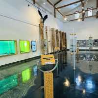  阿寒湖畔生態博物館中心 （綠球藻）