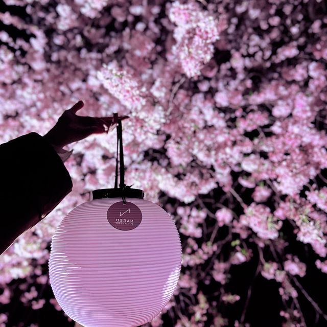 【桜攻略🌸】今年も実施‼️NAKEDの桜イベントまとめ