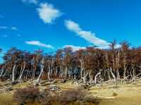 Fitz Roy 트래킹 시작...