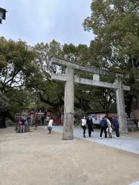 梅が綺麗に咲く福岡の太宰府天満宮