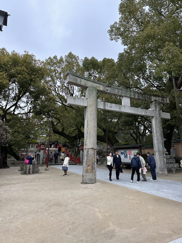 梅が綺麗に咲く福岡の太宰府天満宮