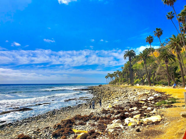 Royal Palms Beach Park