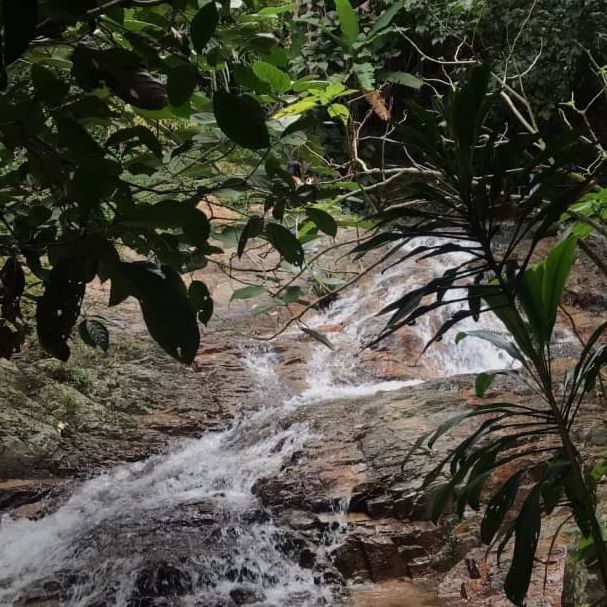 Mae Kampong Waterfall