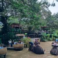มองช้างคาเฟ่ Mongchangcafe