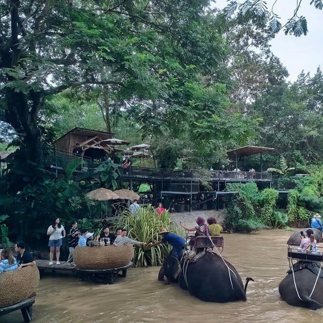 มองช้างคาเฟ่ Mongchangcafe