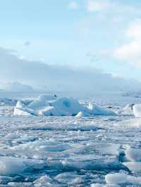 冰島🇮🇸| Jokulsarlon 冰河湖看最純淨的藍