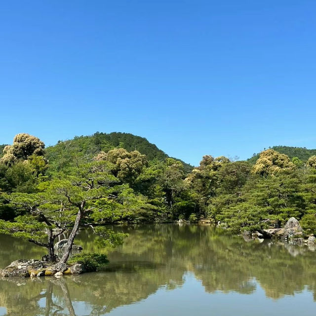 「湖光山色，舟遊豬苗代湖