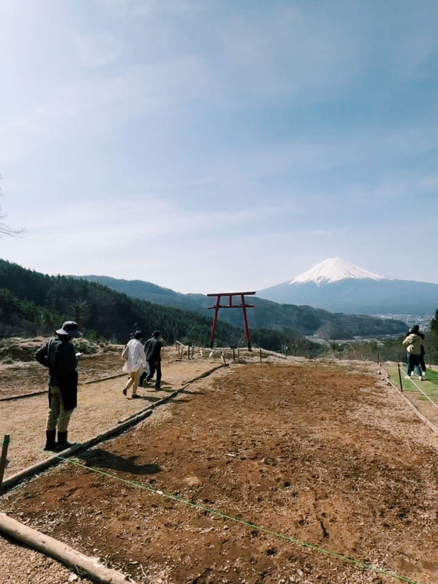 🇯🇵 河口湖 河口淺間神社：富士山背景下的天空鳥居，自駕遊或的士上山最方便🗻