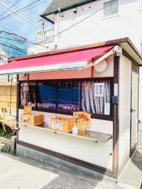 【嚴島神社/神奈川県】インパクトある桜がお出迎え