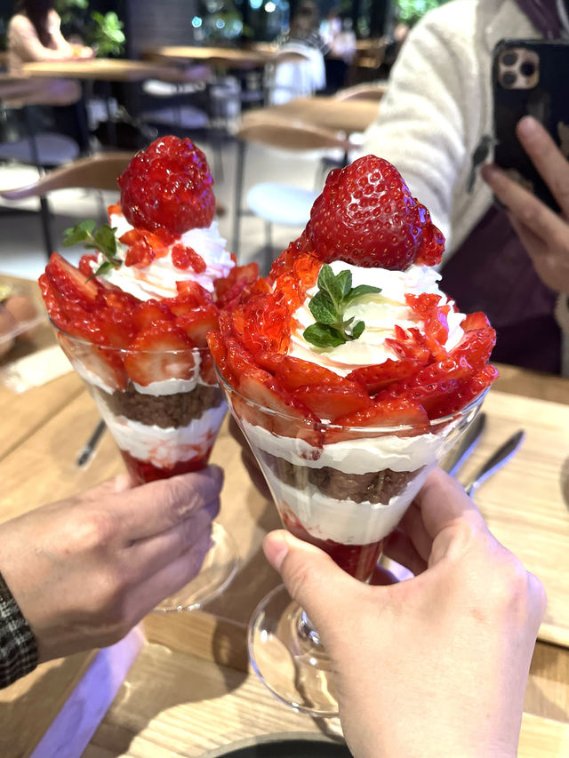 【福岡カフェ】広々とした店内でゆっくりと自分の時間を楽しめるカフェ☕️