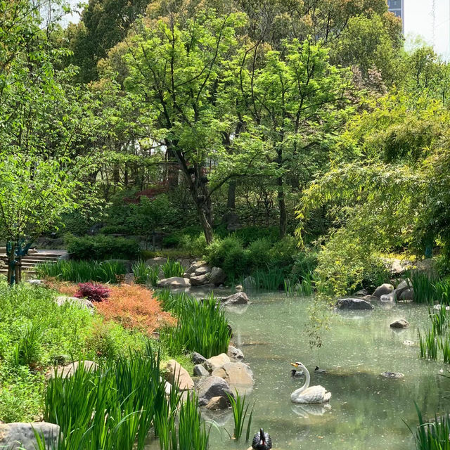 「裕廊湖花園」：熱帶樹木、花壇、湖濱長廊