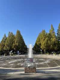 大阪　無料で自然を満喫できる公園⛲️