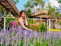ถ่ายรูป ชมวิวสวยๆที่ Sky Walk เขื่อนสิรินธร