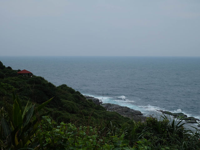 เดินศึกษาธรรมชาติที่ Bitou Cape Taiwan