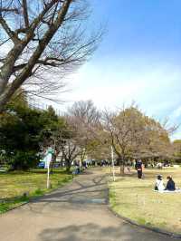 東京　東京観光　墨田区そよ風公園と東京スカイツリーのコラボは最高だぞ！