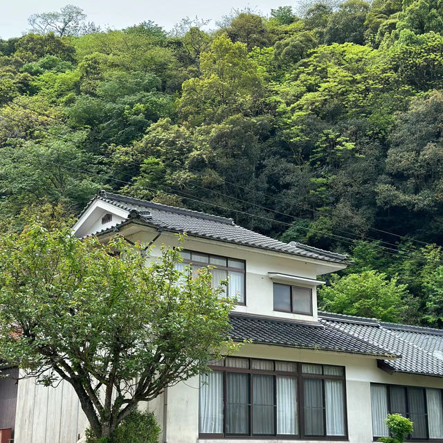 八尾山城～歷史追尋與嚮望