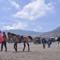 JOURNEY TO BROMO : THE SEA OF SAND